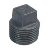 B&K 1/8 In. Malleable Black Iron Pipe Plug 2 B&K 1/8 In. Malleable Black Iron Pipe Plug -B&K Sales Store ItemImage 422673 q5w23g 8i7u0w gdeb8h