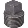 B&K 2 In. Malleable Black Iron Pipe Plug -B&K Sales Store ItemImage 422851 q5w242 88r2a0 9kp6ig